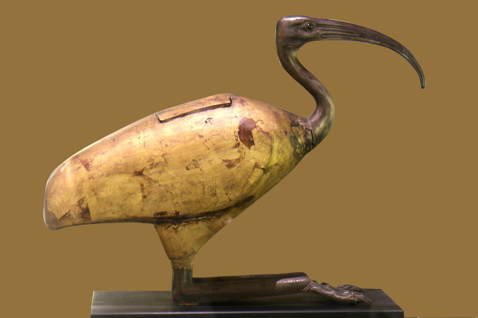 Thoth Moon and Science God Ancient Egypt Sarcophage Ibis Musée Vieille Charité